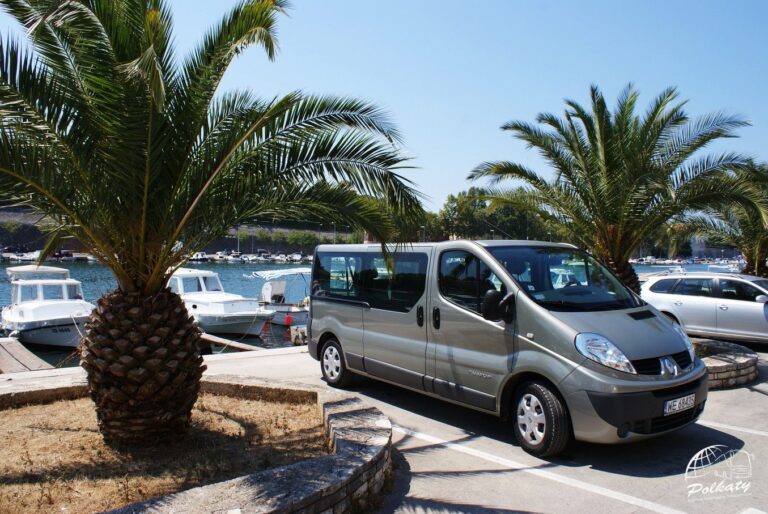Bus Renault Trafic wynajem